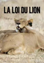 La loi du Lion - Documentaires