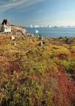 Au coeur du monde arctique - La Toundra - Documentaires
