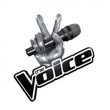 The Voice S11E15 La finale - Divertissements