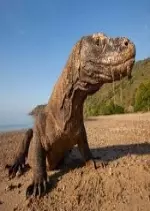 Grandeurs Nature - Komodo : l'île des dragons