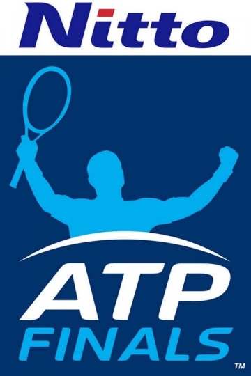 ATP Finals Turin 2023 : Finale  Jannik Sinner vs Novak Djokovic - Spectacles