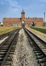Auschwitz Projekt - Documentaires