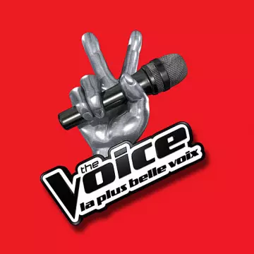 The Voice S11E01 - Divertissements