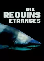 Dix requins étranges - Documentaires