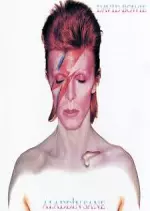 David Bowie - Les cinq dernières années - Documentaires