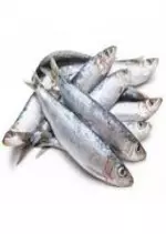 La boite de sardine - Documentaires