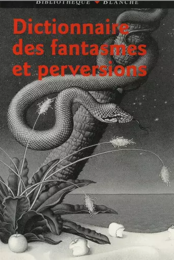DICTIONNAIRE DES FANTASMES ET PERVERSIONS - Livres