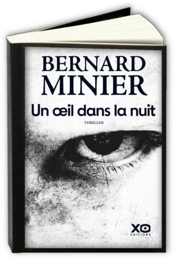 Un oeil dans la nuit  Bernard Minier