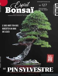Esprit Bonsai - Décembre 2023 - Janvier 2024