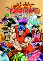 TORIKO - INTÉGRALE 43 TOMES - Mangas
