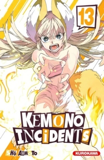 Kemono Incidents T01 à 13