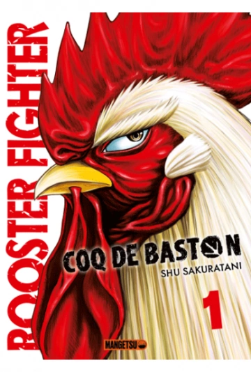 Rooster Fighter - Coq de Baston 1