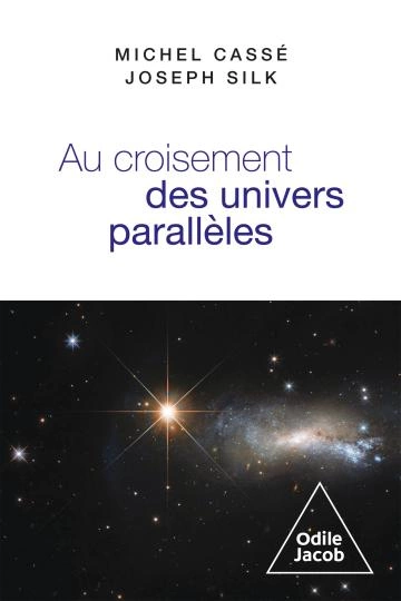 Au croisement des univers parallèles Michel Cassé, Joseph Silk - Livres