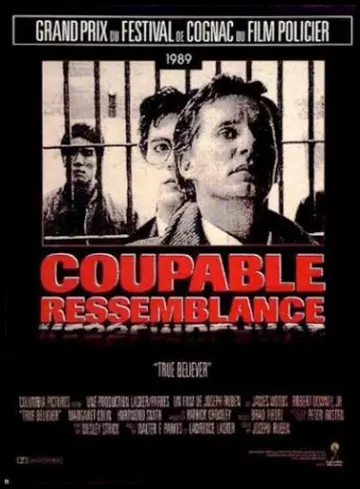 Coupable Ressemblance - TRUEFRENCH DVDRIP