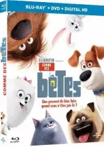 Comme des bêtes - MULTI (TRUEFRENCH) BLU-RAY 720p