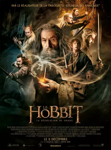 Le Hobbit : la Désolation de Smaug - TRUEFRENCH BDRIP