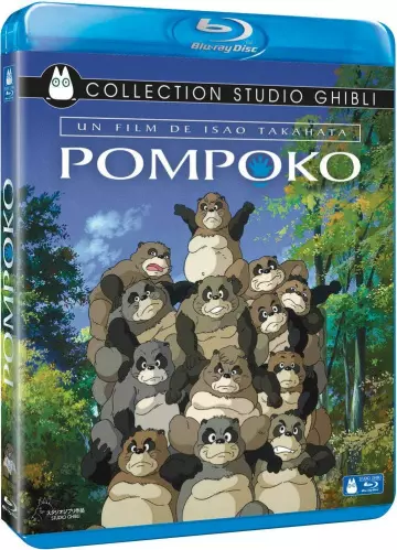 Pompoko - MULTI (FRENCH) HDLIGHT 1080p