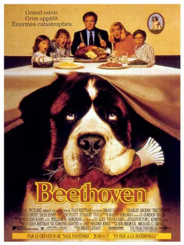 Beethoven - FRENCH DVDRIP