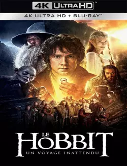 Le Hobbit : un voyage inattendu - MULTI (FRENCH) BLURAY REMUX 4K
