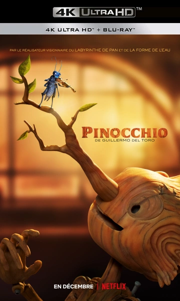 Pinocchio par Guillermo del Toro - MULTI (TRUEFRENCH) WEB-DL 4K