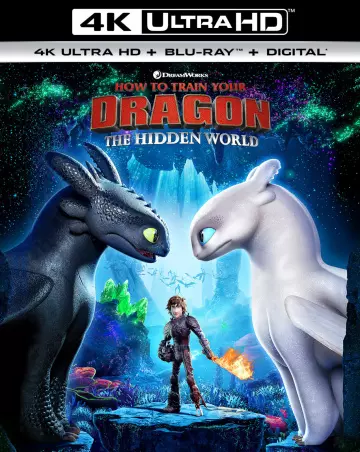 Dragons 3 : Le monde caché - MULTI (TRUEFRENCH) 4K LIGHT