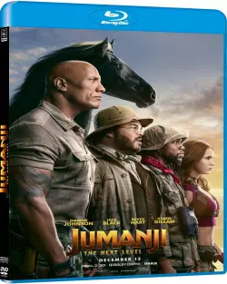 Jumanji: next level - MULTI (FRENCH) HDLIGHT 1080p
