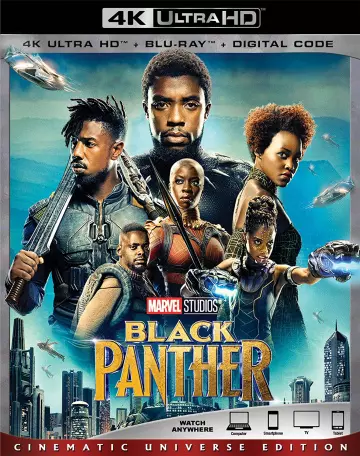 Black Panther - MULTI (TRUEFRENCH) 4K LIGHT