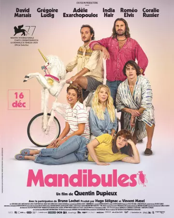 Mandibules - FRENCH WEB-DL 1080p