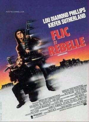 Flic et rebelle - FRENCH WEBRIP