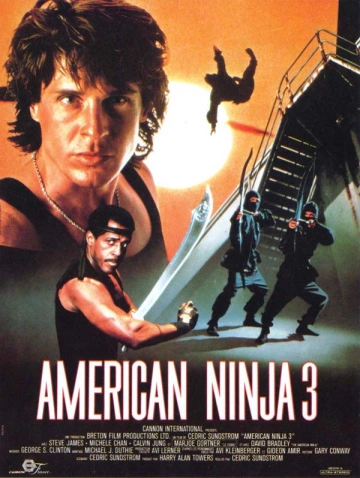 American Ninja 3 - FRENCH DVDRIP