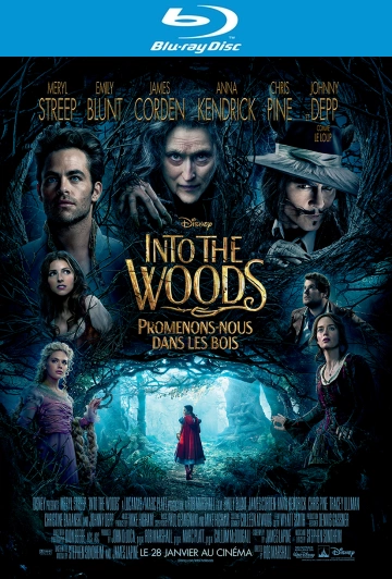 Into the Woods, Promenons-nous dans les bois - MULTI (TRUEFRENCH) HDLIGHT 1080p