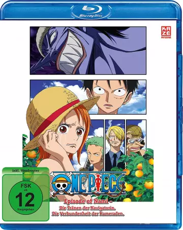 One Piece : Episode de Nami (TV) - FRENCH BLU-RAY 720p