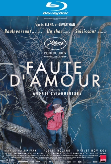 Faute d'amour - MULTI (FRENCH) HDLIGHT 1080p
