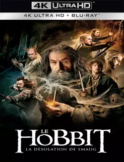 Le Hobbit : la Désolation de Smaug - MULTI (FRENCH) BLURAY REMUX 4K