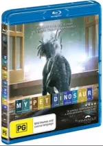 My Pet Dinosaur - FRENCH HDLIGHT 1080p