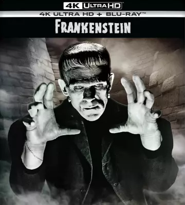 Frankenstein - MULTI (FRENCH) 4K LIGHT