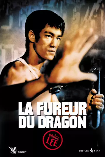 La Fureur du dragon - MULTI (FRENCH) HDLIGHT 1080p