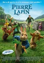 Pierre Lapin - FRENCH BDRIP