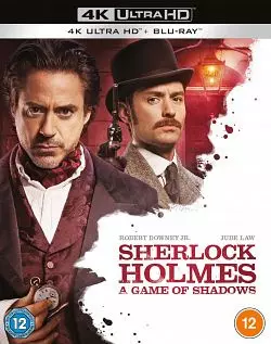 Sherlock Holmes 2 : Jeu d'ombres - MULTI (TRUEFRENCH) 4K LIGHT
