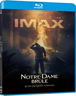 Notre-Dame brûle - FRENCH BLU-RAY 720p