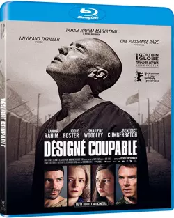 Désigné Coupable - MULTI (TRUEFRENCH) BLU-RAY 1080p