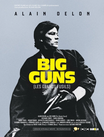 Big Guns - Les Grands fusils - MULTI (FRENCH) WEB-DL 1080p
