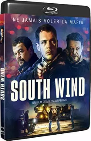 South Wind - MULTI (FRENCH) BLU-RAY 1080p