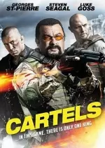 Cartels - FRENCH HDRIP