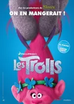 Les Trolls - FRENCH DVDRIP/MKV