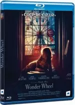 Wonder Wheel - FRENCH BLU-RAY 1080p