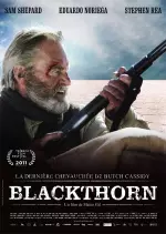 Blackthorn - VOSTFR BRRIP