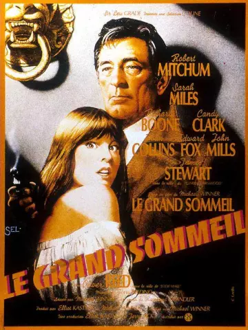 Le Grand sommeil - FRENCH BDRIP
