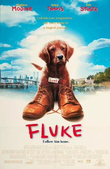 Fluke - FRENCH DVDRIP