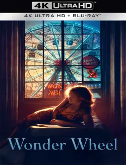 Wonder Wheel - MULTI (FRENCH) WEB-DL 4K